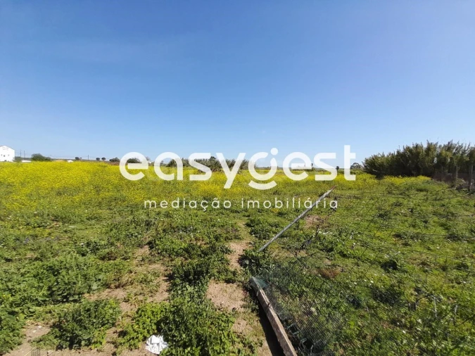 Terreno Agricola ou Rústico para Venda em Beja (Salvador e Santa Maria da Feira) Foto 3