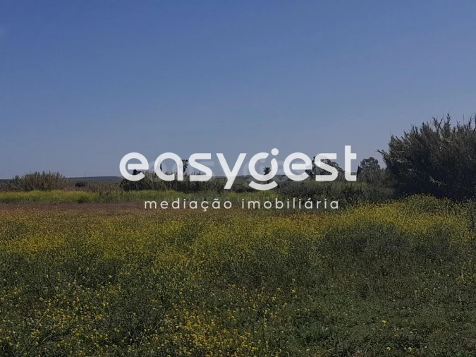 Terreno Agricola ou Rústico para Venda em Beja (Salvador e Santa Maria da Feira) Foto 5