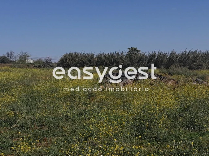 Terreno Agricola ou Rústico para Venda em Beja (Salvador e Santa Maria da Feira) Foto 6