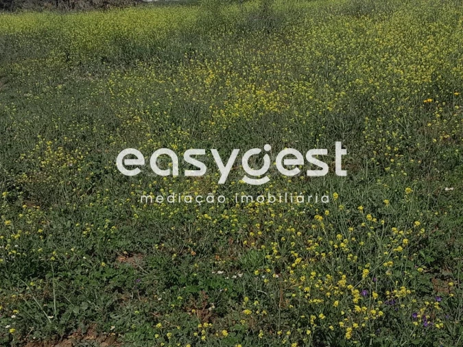 Terreno Agricola ou Rústico para Venda em Beja (Salvador e Santa Maria da Feira) Foto 8