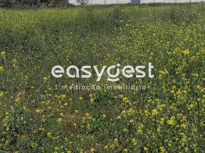 Terreno Agricola ou Rústico para Venda em Beja (Salvador e Santa Maria da Feira) Foto 9