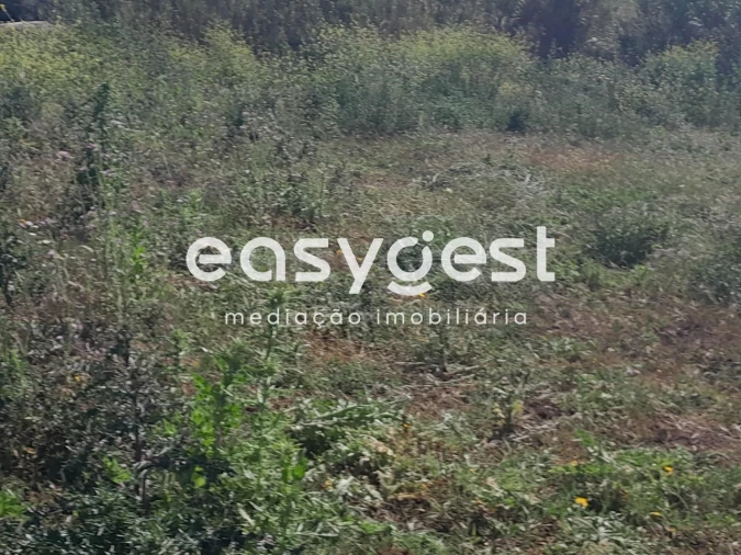 Terreno Agricola ou Rústico para Venda em Beja (Salvador e Santa Maria da Feira) Foto 11