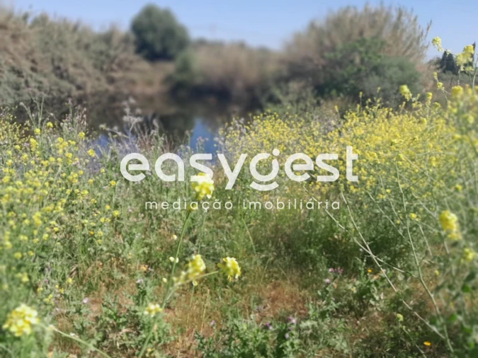 Terreno Agricola ou Rústico para Venda em Beja (Salvador e Santa Maria da Feira) Foto 16