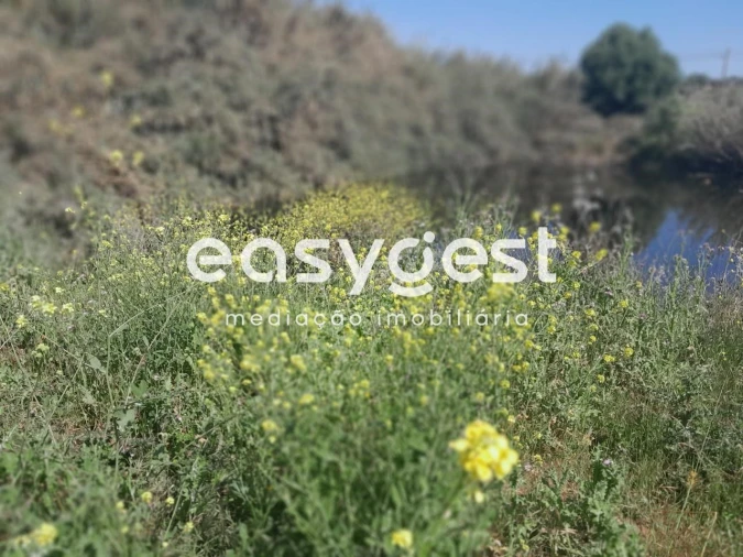 Terreno Agricola ou Rústico para Venda em Beja (Salvador e Santa Maria da Feira) Foto 17
