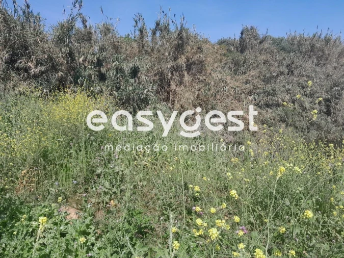 Terreno Agricola ou Rústico para Venda em Beja (Salvador e Santa Maria da Feira) Foto 19