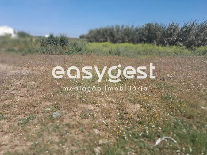 Terreno Agricola ou Rústico para Venda em Beja (Salvador e Santa Maria da Feira) Foto 21