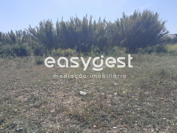 Terreno Agricola ou Rústico para Venda em Beja (Salvador e Santa Maria da Feira) Foto 22