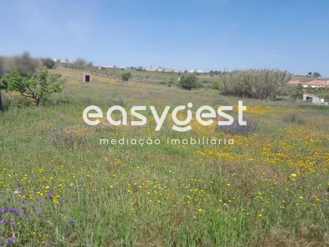 Terreno Agricola ou Rústico para Venda em Beja (Salvador e Santa Maria da Feira) Foto 23