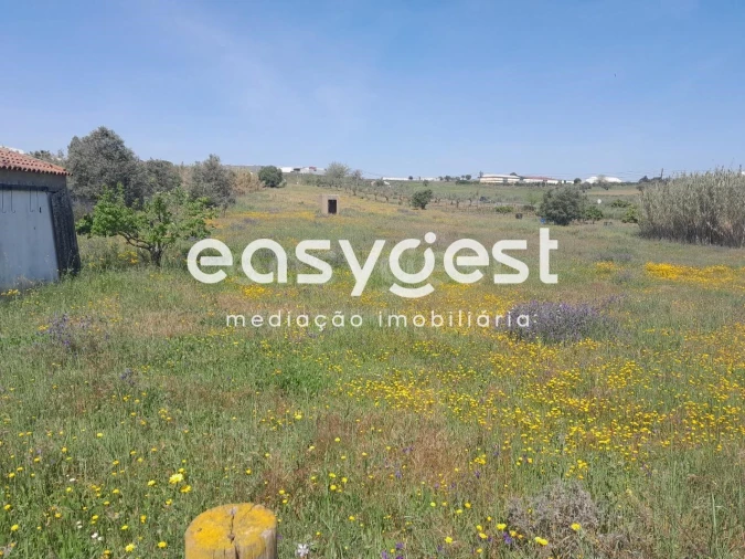 Terreno Agricola ou Rústico para Venda em Beja (Salvador e Santa Maria da Feira) Foto 25