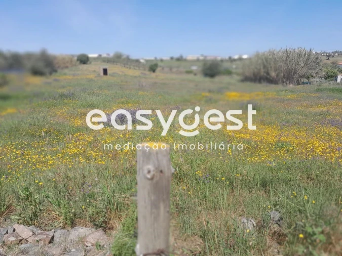 Terreno Agricola ou Rústico para Venda em Beja (Salvador e Santa Maria da Feira) Foto 26