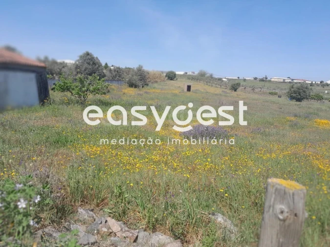 Terreno Agricola ou Rústico para Venda em Beja (Salvador e Santa Maria da Feira) Foto 28