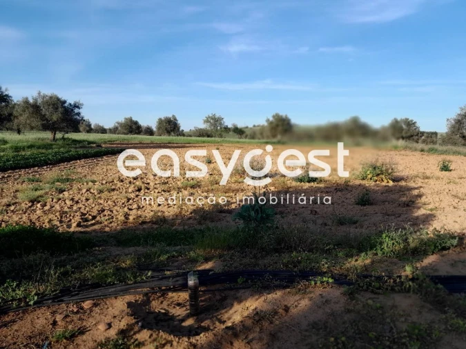 Terreno Agricola ou Rústico para Venda em Beja (Salvador e Santa Maria da Feira) Foto 31