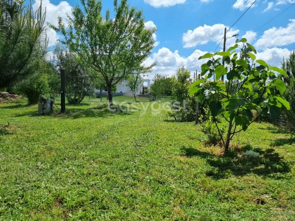 Moradia T4 para Venda em Travanca de Lagos Foto 22