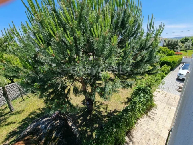 Moradia T4 para Venda em Travanca de Lagos Foto 18