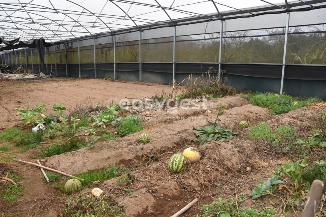 Terreno para Venda em Couto de Baixo e Couto de Cima Foto 16