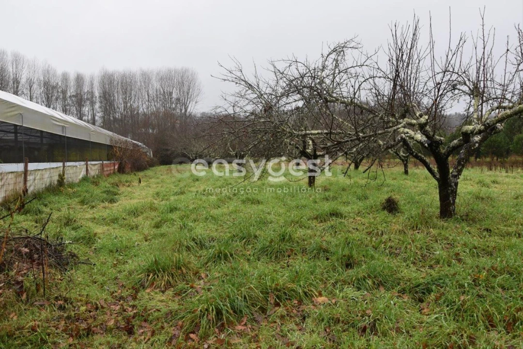 Terreno para Venda em Couto de Baixo e Couto de Cima Foto 22
