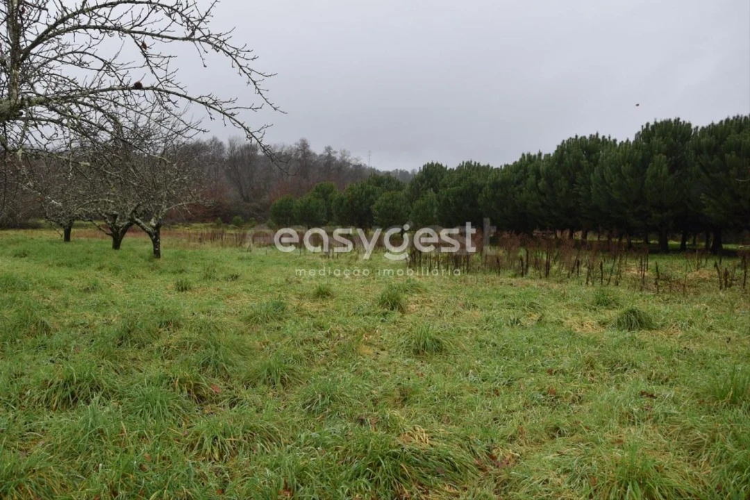 Terreno para Venda em Couto de Baixo e Couto de Cima Foto 23
