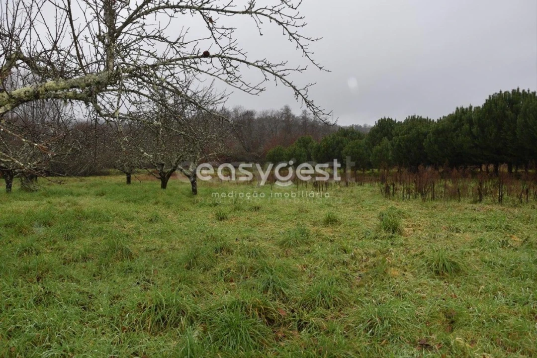 Terreno para Venda em Couto de Baixo e Couto de Cima Foto 25