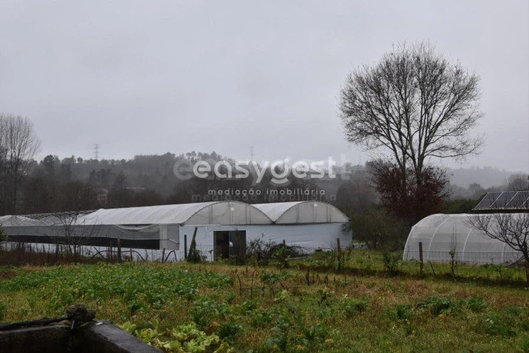 Terreno para Venda em Couto de Baixo e Couto de Cima Foto 3