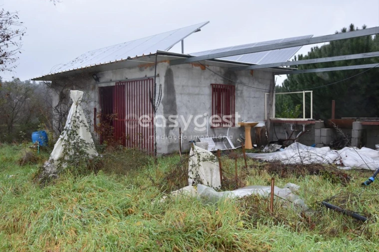 Terreno para Venda em Couto de Baixo e Couto de Cima Foto 7
