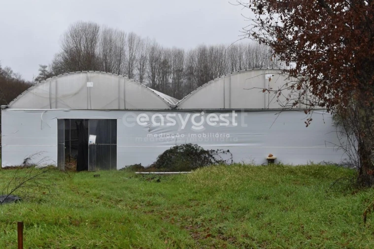 Terreno para Venda em Couto de Baixo e Couto de Cima Foto 14