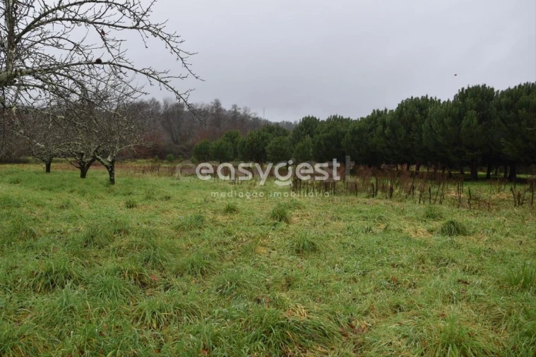 Terreno para Venda em Couto de Baixo e Couto de Cima Foto 23