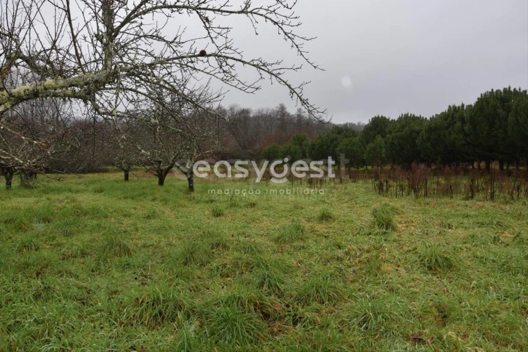 Terreno para Venda em Couto de Baixo e Couto de Cima Foto 25