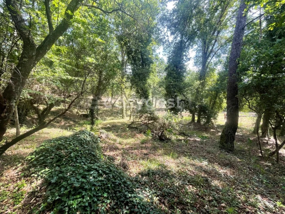 Terreno para Venda em Couto de Baixo e Couto de Cima Foto 4