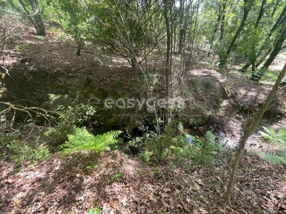 Terreno para Venda em Couto de Baixo e Couto de Cima Foto 8