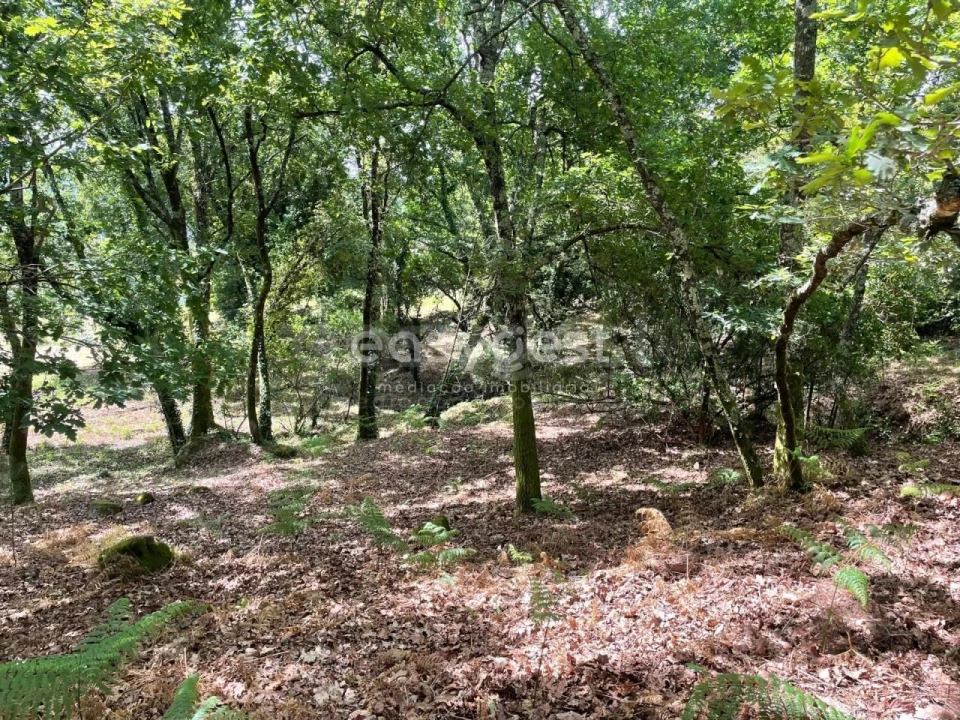 Terreno para Venda em Couto de Baixo e Couto de Cima Foto 12