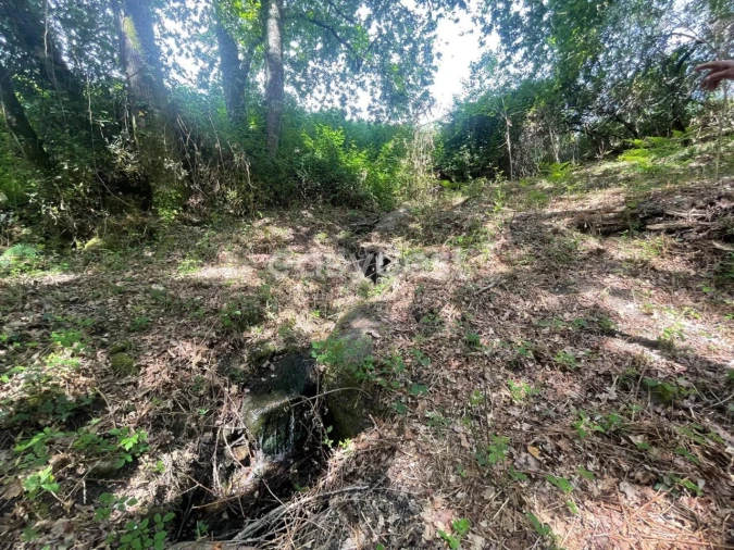 Terreno para Venda em Couto de Baixo e Couto de Cima Foto 5