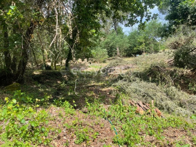 Terreno para Venda em Couto de Baixo e Couto de Cima Foto 14