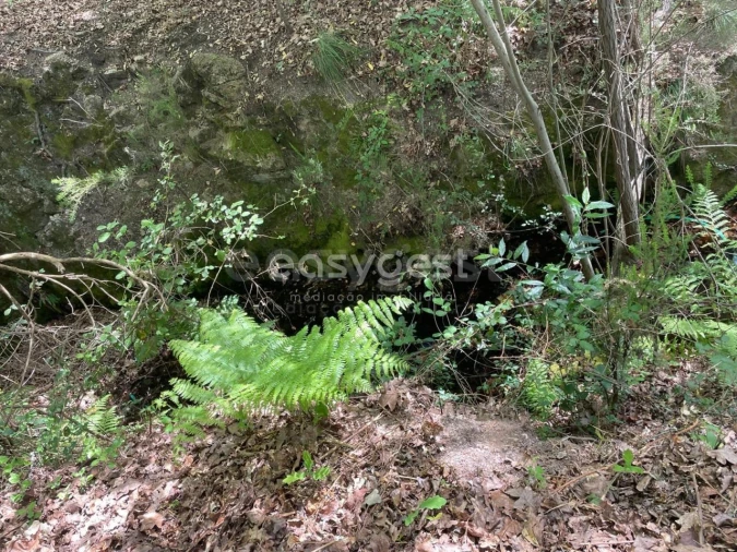 Terreno para Venda em Couto de Baixo e Couto de Cima Foto 20