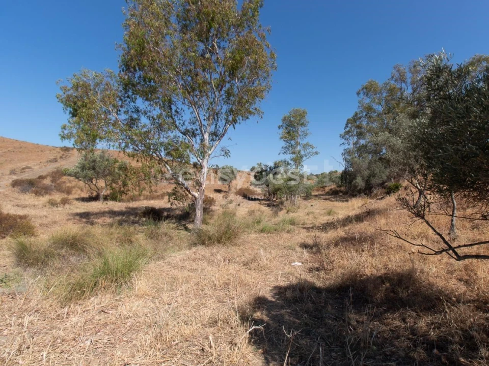 Terreno Agricola ou Rústico para Venda em Castro Marim Foto 3