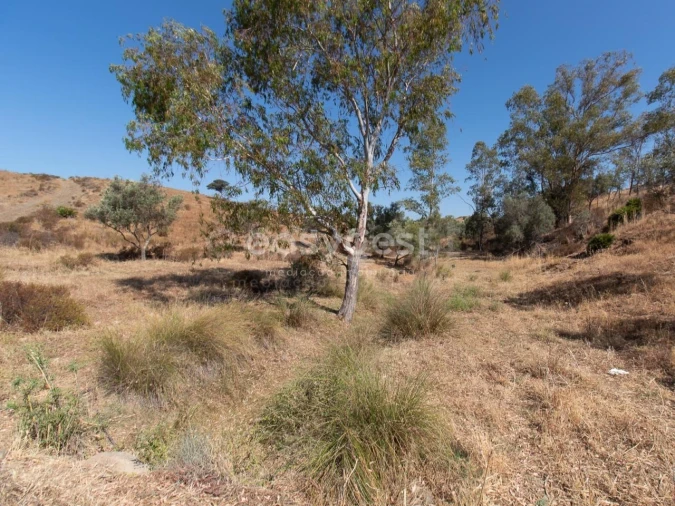 Terreno Agricola ou Rústico para Venda em Castro Marim Foto 2