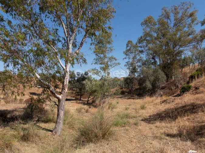 Terreno Agricola ou Rústico para Venda em Castro Marim Foto 4