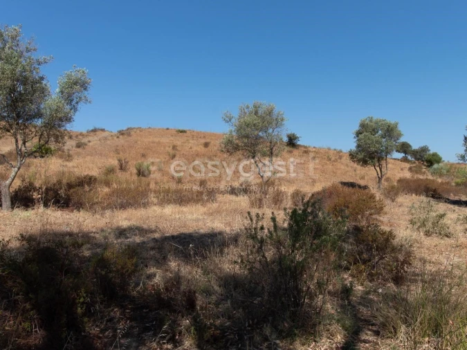 Terreno Agricola ou Rústico para Venda em Castro Marim Foto 7