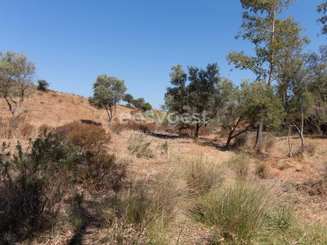 Terreno Agricola ou Rústico para Venda em Castro Marim Foto 8