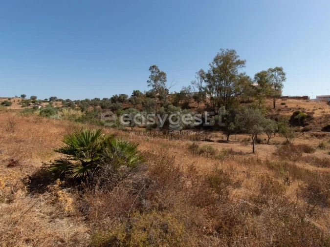 Terreno Agricola ou Rústico para Venda em Castro Marim Foto 10