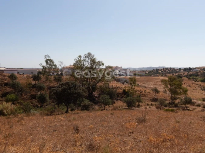 Terreno Agricola ou Rústico para Venda em Castro Marim Foto 17