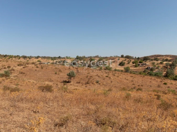 Terreno Agricola ou Rústico para Venda em Castro Marim Foto 18