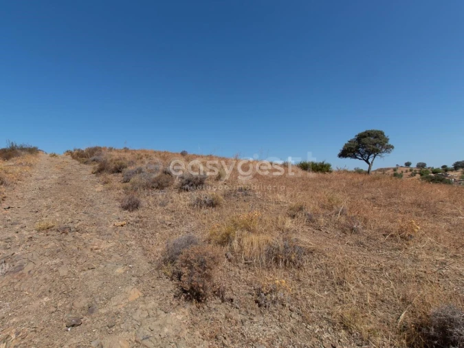 Terreno Agricola ou Rústico para Venda em Castro Marim Foto 22