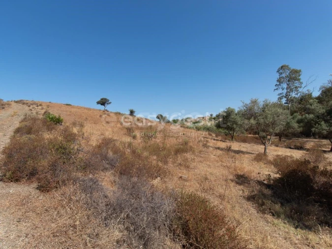 Terreno Agricola ou Rústico para Venda em Castro Marim Foto 23