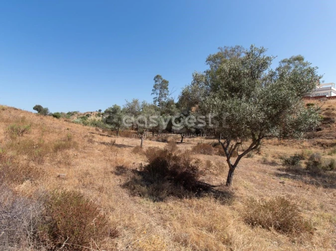 Terreno Agricola ou Rústico para Venda em Castro Marim Foto 24