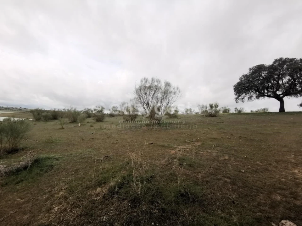 Terreno Agricola ou Rústico para Venda em Amieira e Alqueva Foto 3