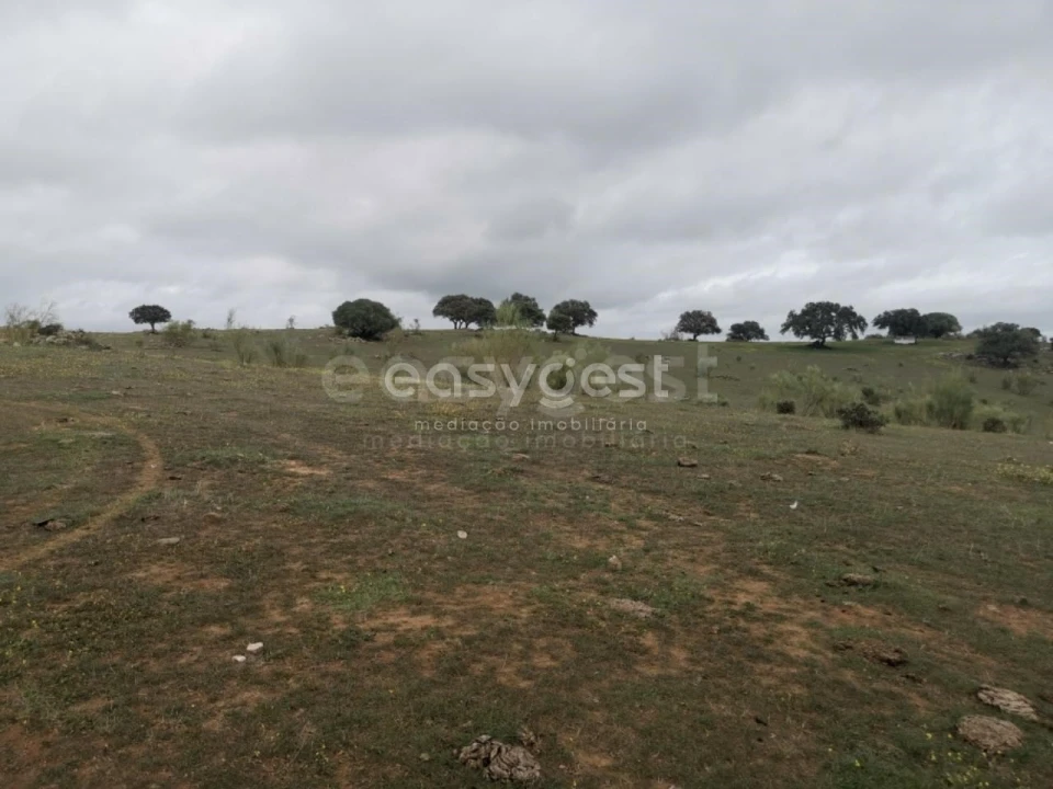 Terreno Agricola ou Rústico para Venda em Amieira e Alqueva Foto 5