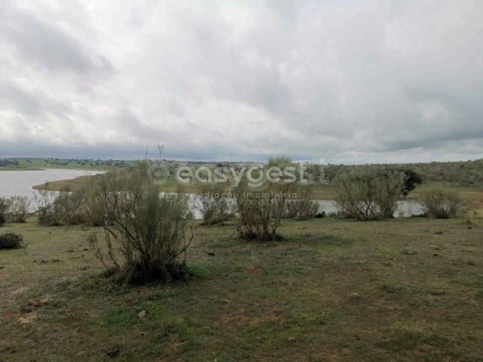 Terreno Agricola ou Rústico para Venda em Amieira e Alqueva Foto 6
