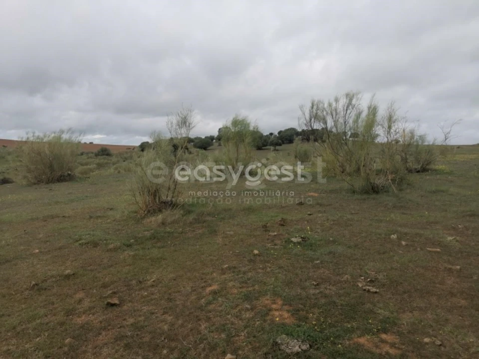 Terreno Agricola ou Rústico para Venda em Amieira e Alqueva Foto 8