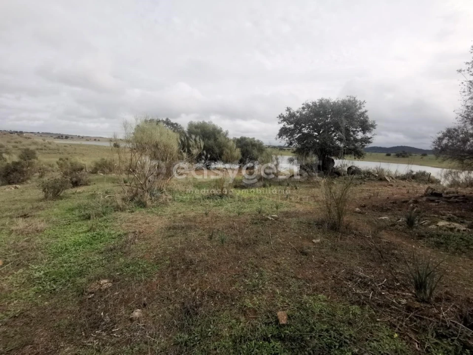 Terreno Agricola ou Rústico para Venda em Amieira e Alqueva Foto 10