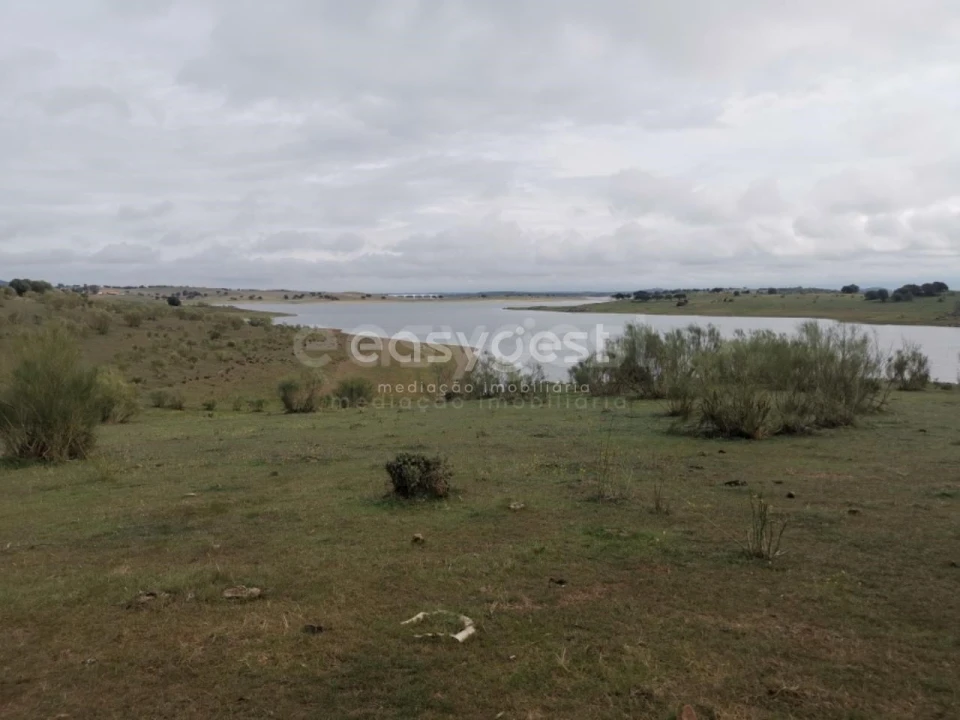 Terreno Agricola ou Rústico para Venda em Amieira e Alqueva Foto 11